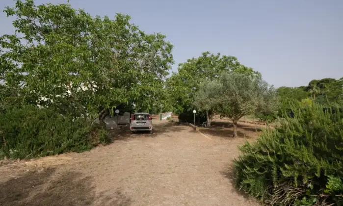 Rexer-Pietraperzia-Vendo-casa-in-campagna-Giardino