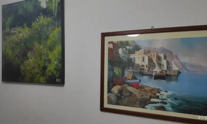 Rexer-Messina-Affitto-mesi-luglio-agosto-anche-separatamente-Altro