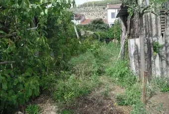 Rexer-Castel-Morrone-Propriet-rustica-in-vendita-in-fratelli-della-valleCastel-Morrone-Giardino