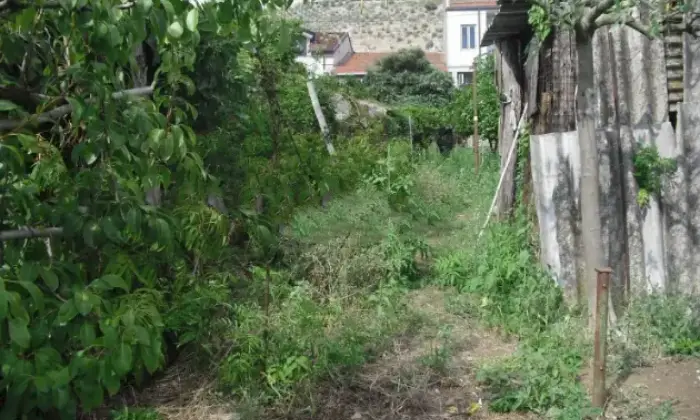 Rexer-Castel-Morrone-Propriet-rustica-in-vendita-in-fratelli-della-valleCastel-Morrone-Giardino
