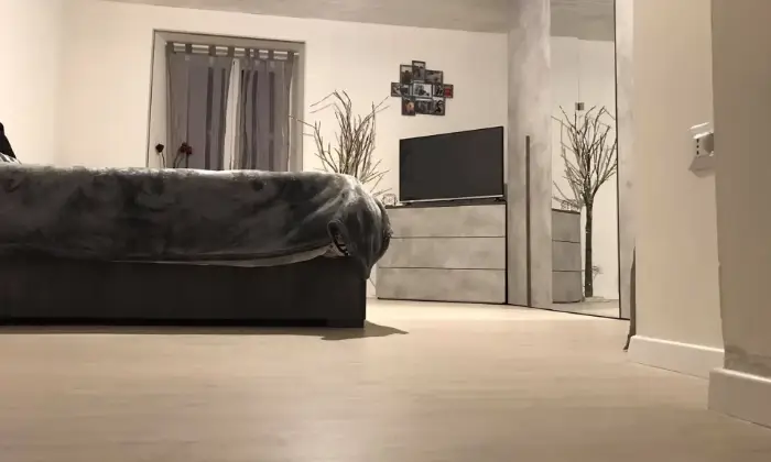 Rexer-Brugnato-Trilocale-ristrutturato-mq-Altro