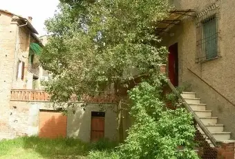 Rexer-Castiglione-del-Lago-Vendesi-appartamento-a-Pozzuolo-GIARDINO