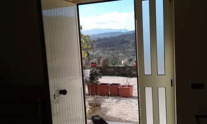Rexer-Pontelandolfo-Villa-in-collina-con-grande-oliveto-Altro