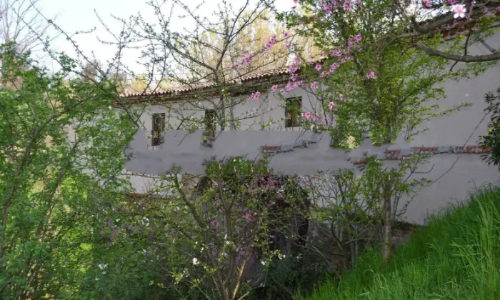 Rexer-Villanterio-Villa-unifamiliare-Localit-Tombone-Villanterio-Giardino