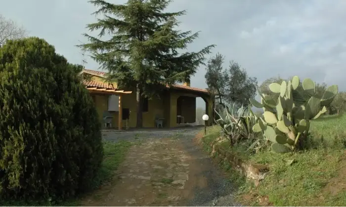 Rexer-Grosseto-Casale-Strada-Provinciale-delle-Sante-Mariae-Rispescia-Grosseto-ALTRO
