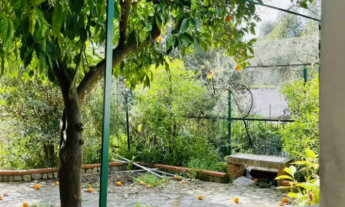 Rexer-Camerota-Arance-HouseCasa-sulla-Calanca-Giardino