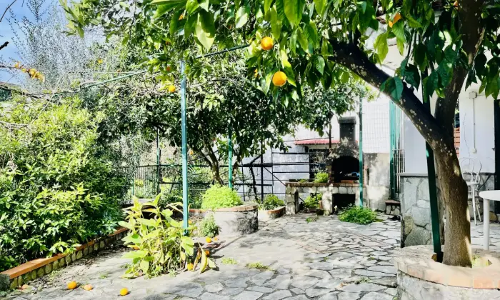 Rexer-Camerota-Arance-HouseCasa-sulla-Calanca-Giardino