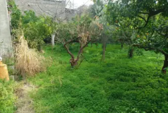 Rexer-Motta-Camastra-Terratetto-unifamiliare-SP-Motta-Camastra-Giardino