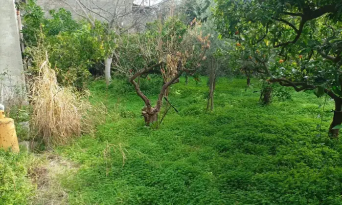 Rexer-Motta-Camastra-Terratetto-unifamiliare-SP-Motta-Camastra-Giardino