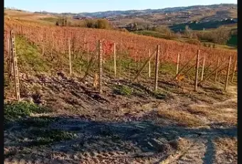 Rexer-Costigliole-dAsti-Vendesi-cascinale-di-mq-Terrazzo