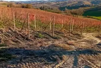 Rexer-Costigliole-dAsti-Vendesi-cascinale-di-mq-Terrazzo