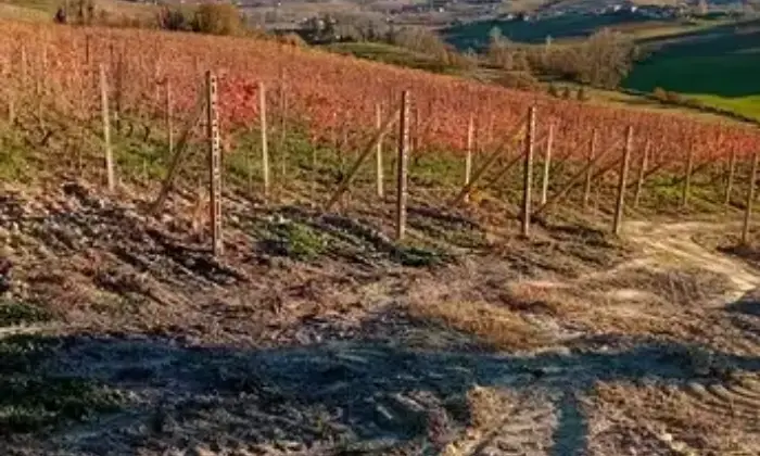 Rexer-Costigliole-dAsti-Vendesi-cascinale-di-mq-Terrazzo
