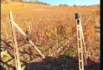 Rexer-Costigliole-dAsti-Vendesi-cascinale-di-mq-Terrazzo