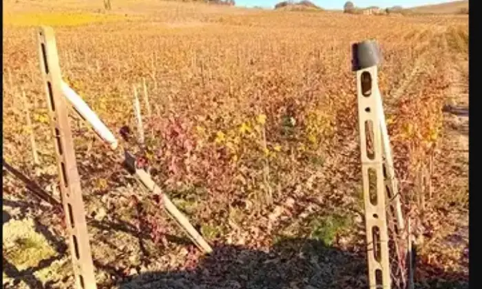 Rexer-Costigliole-dAsti-Vendesi-cascinale-di-mq-Terrazzo