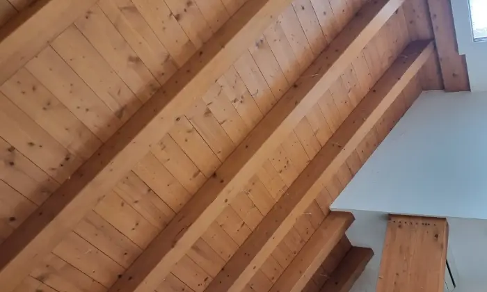 Rexer-Francavilla-Bisio-Vendesi-Villa-in-bioedilizia-Francavilla-B-provAL-Gavishire-Altro