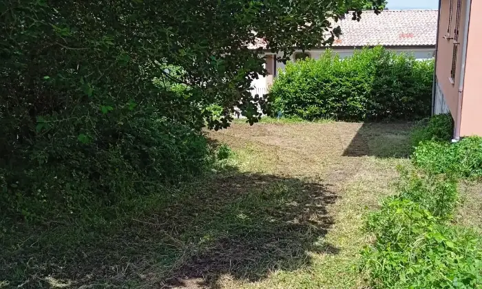 Rexer-Ospedaletto-dAlpinolo-Villa-da-ultimare-nel-parco-del-Partenio-ad-Ospedaletto-dAlpinolo-Giardino