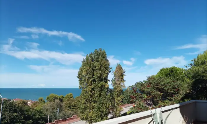 Rexer-Falconara-Marittima-Quadrilocale-via-Sardegna-Centro-Falconara-Marittima-Palombina-vecchia-Altro