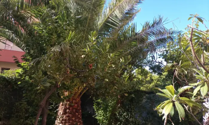 Rexer-Falconara-Marittima-Quadrilocale-via-Sardegna-Centro-Falconara-Marittima-Palombina-vecchia-Altro