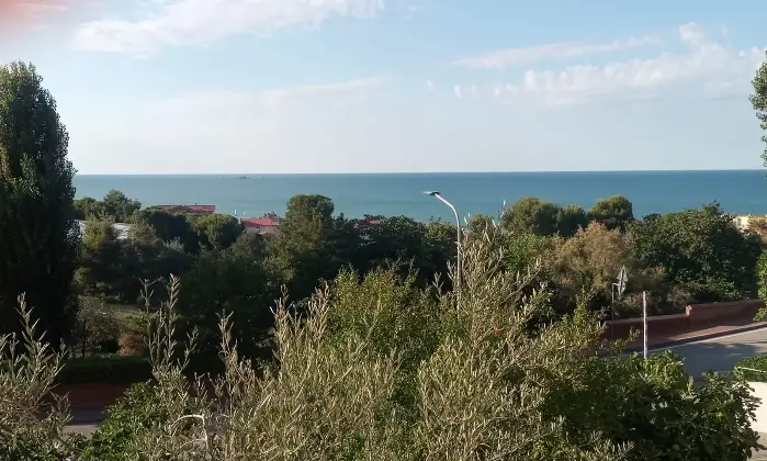 Rexer-Falconara-Marittima-Quadrilocale-via-Sardegna-Centro-Falconara-Marittima-Palombina-vecchia-Altro