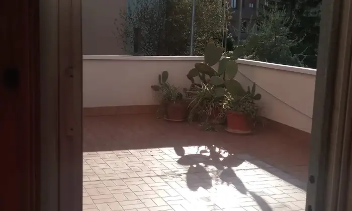 Rexer-Falconara-Marittima-Quadrilocale-via-Sardegna-Centro-Falconara-Marittima-Palombina-vecchia-Altro