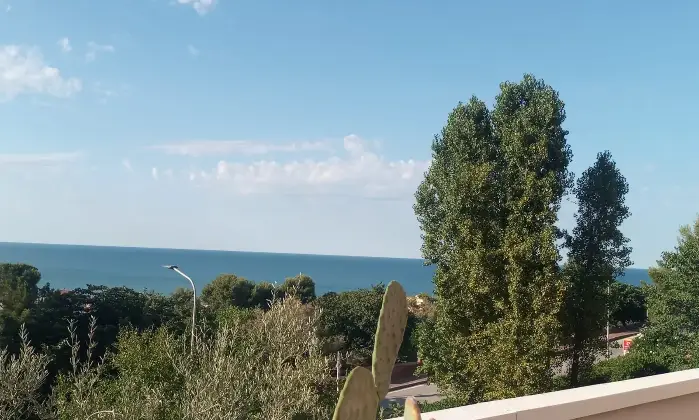Rexer-Falconara-Marittima-Quadrilocale-via-Sardegna-Centro-Falconara-Marittima-Palombina-vecchia-Altro