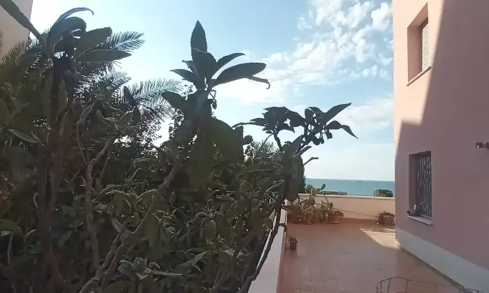Rexer-Falconara-Marittima-Quadrilocale-via-Sardegna-Centro-Falconara-Marittima-Palombina-vecchia-Altro