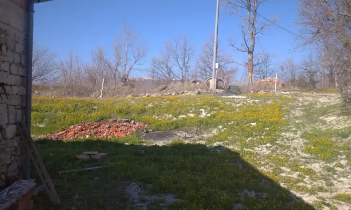 Rexer-Palata-Rustico-a-Palata-Giardino