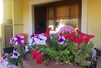 Rexer-Castelsardo-Bilocale-in-vendita-in-via-Lombardia-Castelsardo-Altro