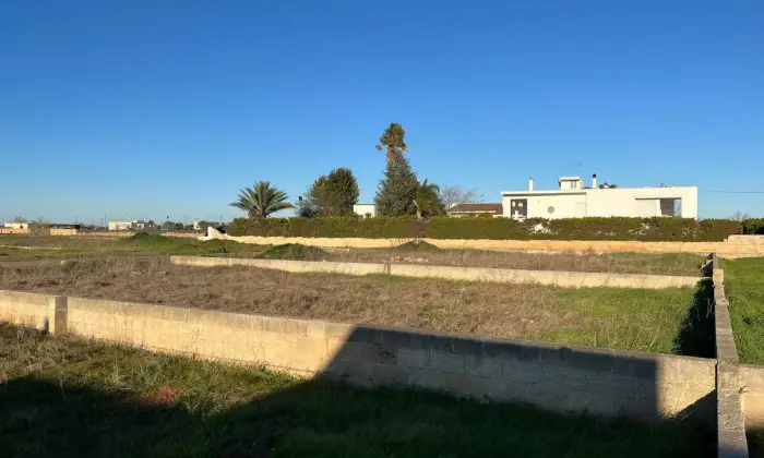 Rexer-Montesano-Salentino-Terreno-zona-nuova-di-Montesano-Giardino
