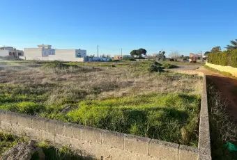 Rexer-Montesano-Salentino-Terreno-zona-nuova-di-Montesano-Giardino