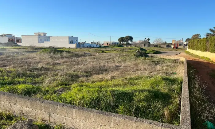 Rexer-Montesano-Salentino-Terreno-zona-nuova-di-Montesano-Giardino
