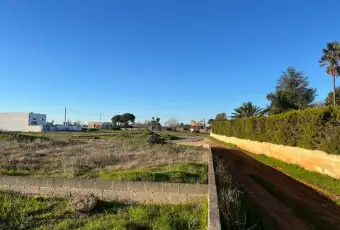 Rexer-Montesano-Salentino-Terreno-zona-nuova-di-Montesano-Giardino