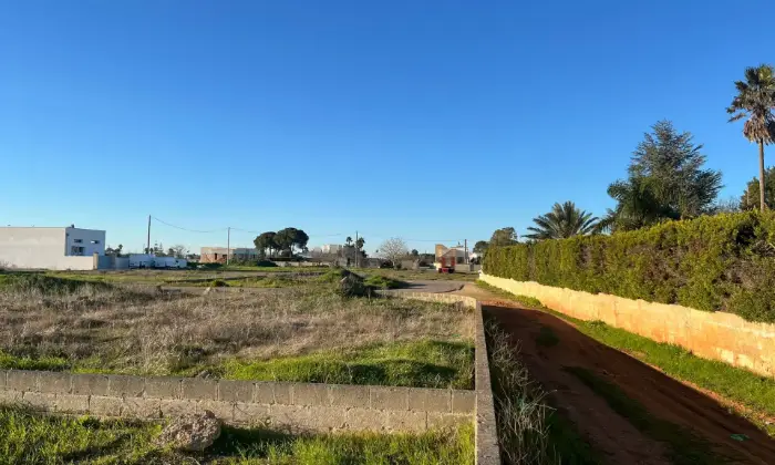 Rexer-Montesano-Salentino-Terreno-zona-nuova-di-Montesano-Giardino