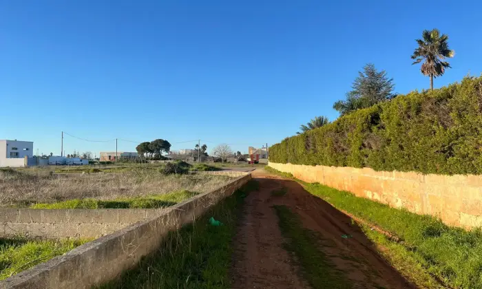 Rexer-Montesano-Salentino-Terreno-zona-nuova-di-Montesano-Giardino