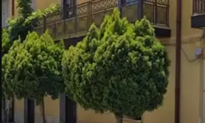 Rexer-Mileto-Casa-autonoma-in-vendita-in-via-Nazario-Sauro-a-Mileto-Terrazzo