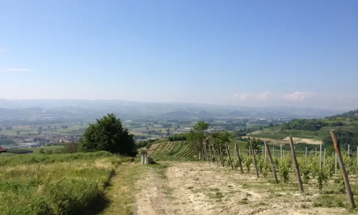 Rexer-Govone-Terreno-Edificabile-Panoramico-in-zona-di-pregio-UNESCO-Terrazzo
