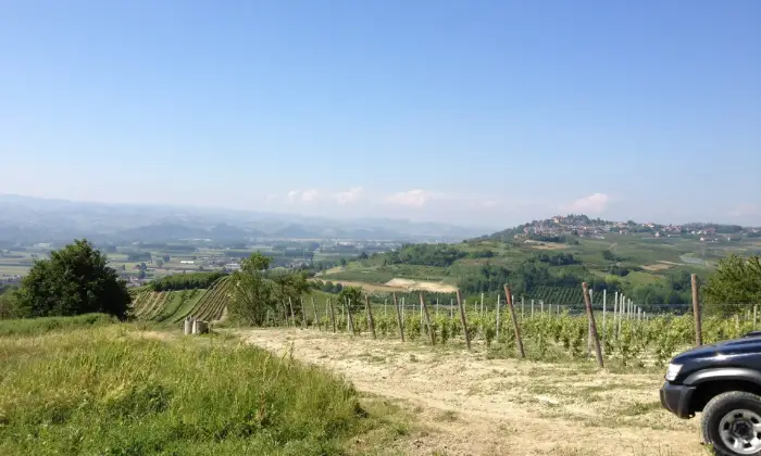 Rexer-Govone-Terreno-Edificabile-Panoramico-in-zona-di-pregio-UNESCO-Terrazzo