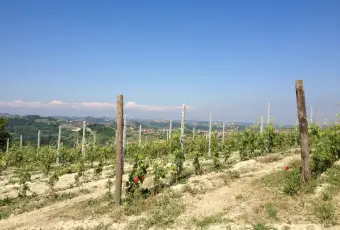 Rexer-Govone-Terreno-Edificabile-Panoramico-in-zona-di-pregio-UNESCO-Terrazzo