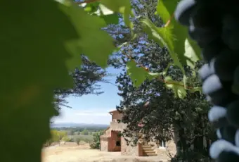 Rexer-Passignano-sul-Trasimeno-Casalecascina-in-vendita-in-Cantagallina-Esterne