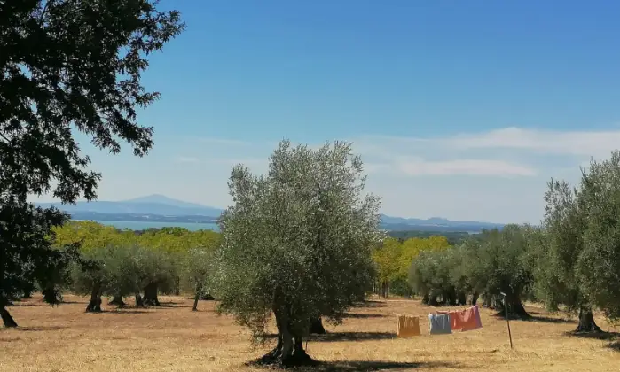 Rexer-Passignano-sul-Trasimeno-Casalecascina-in-vendita-in-Cantagallina-Villaggio