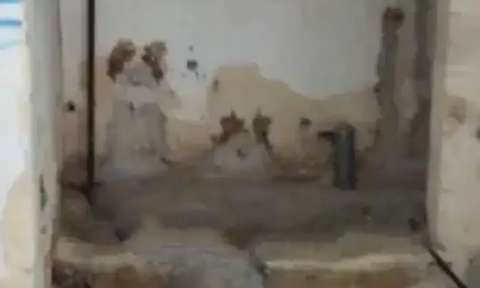 Rexer-Ruffano-Rustico-via-Duca-degli-Abruzzi-Supersano-Altro