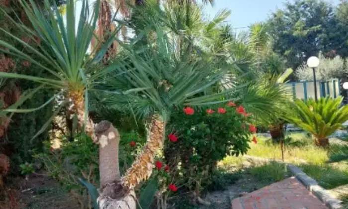 Rexer-Roccella-Ionica-Villa-in-vendita-in-strada-Statale-Jonica-snc-Roccella-Ionica-Giardino