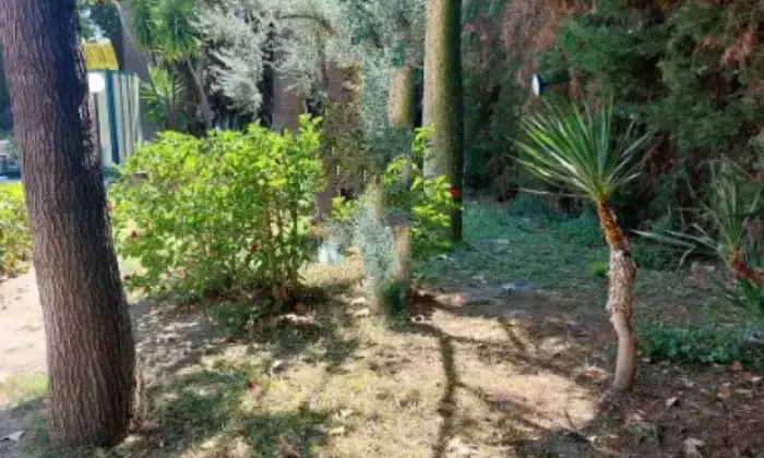 Rexer-Roccella-Ionica-Villa-in-vendita-in-strada-Statale-Jonica-snc-Roccella-Ionica-Giardino
