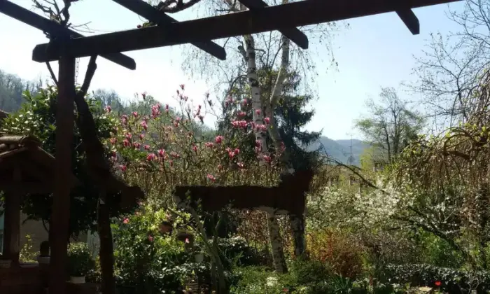 Rexer-Monte-San-Pietro-Villa-a-schiera-Monte-San-Giovanni-Monte-San-Pietro-Giardino