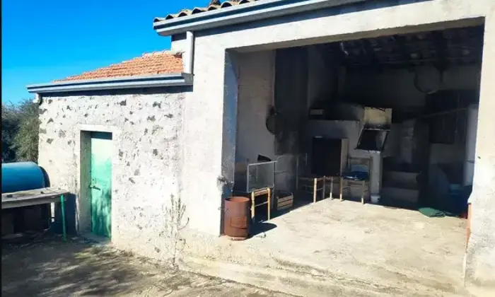 Rexer-Santa-Maria-di-Licodia-Villa-singola-con-mq-di-Uliveto-con-Frutti-Altro
