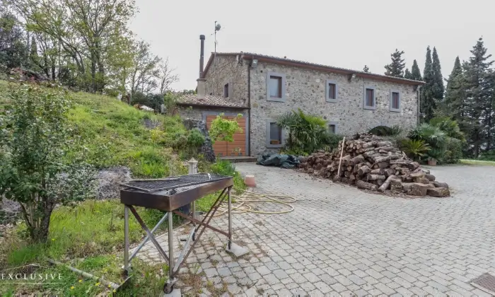 Rexer-LAJATICO-Azienda-Agricola-con-ettari-di-terreno-Giardino