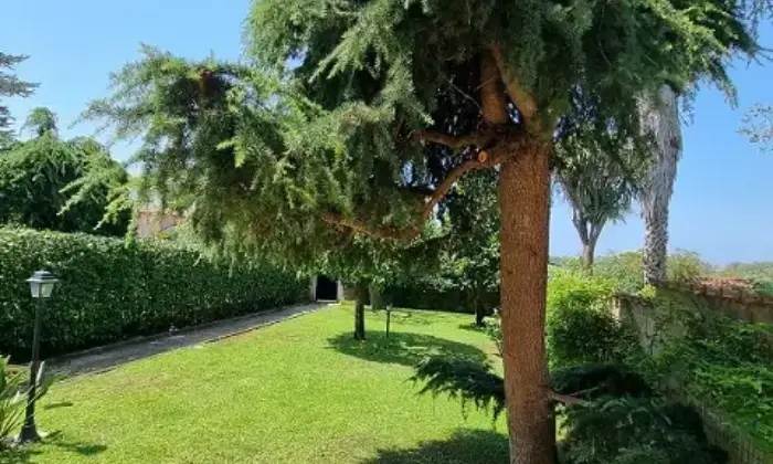 Rexer-ARDEA-Ardea-via-Pratica-di-Mare-Altro