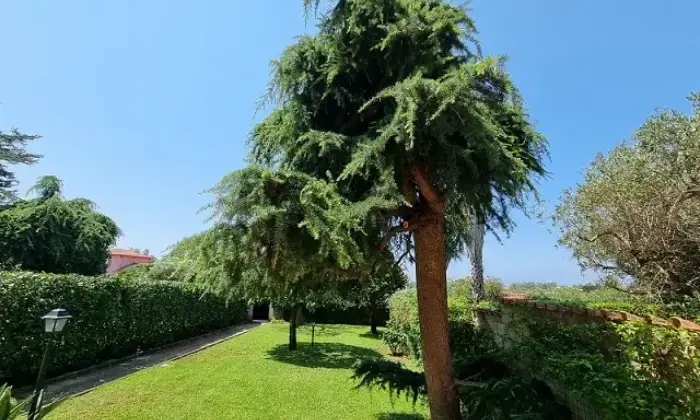 Rexer-ARDEA-Ardea-via-Pratica-di-Mare-Altro