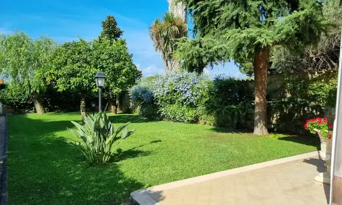 Rexer-ARDEA-Ardea-via-Pratica-di-Mare-Altro