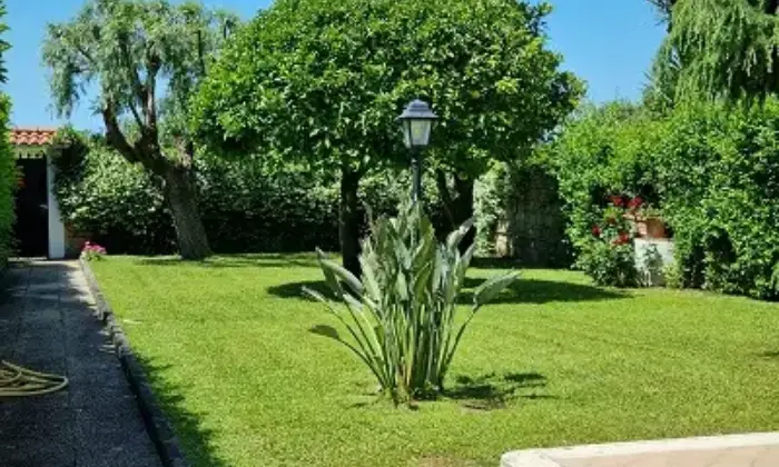 Rexer-ARDEA-Ardea-via-Pratica-di-Mare-Altro